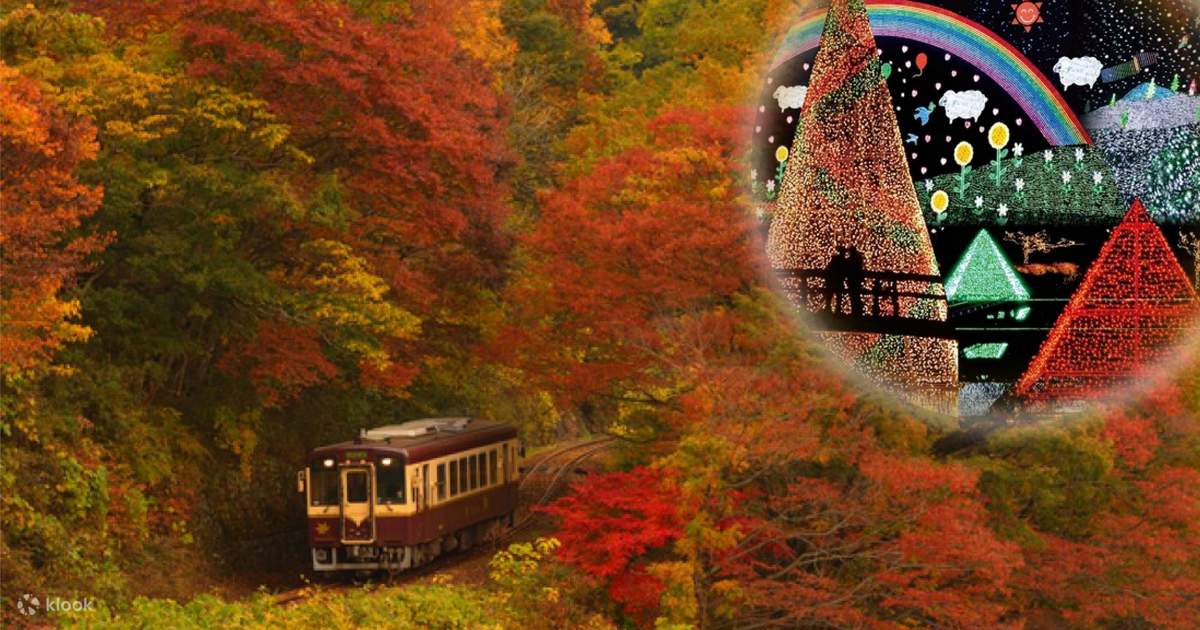 新宿発・わたらせ渓谷鉄道から紅葉鑑賞！あしかがフラワーパーク